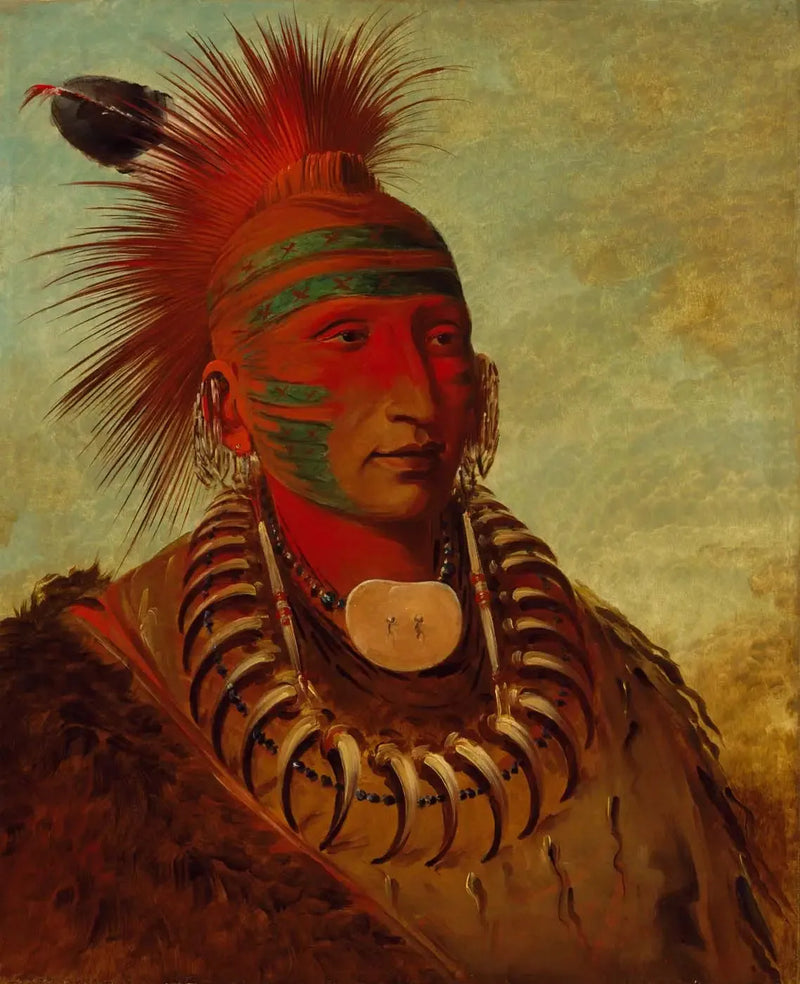No-ho-mun-ya, Celui qui ne prête aucune attention - George Catlin
