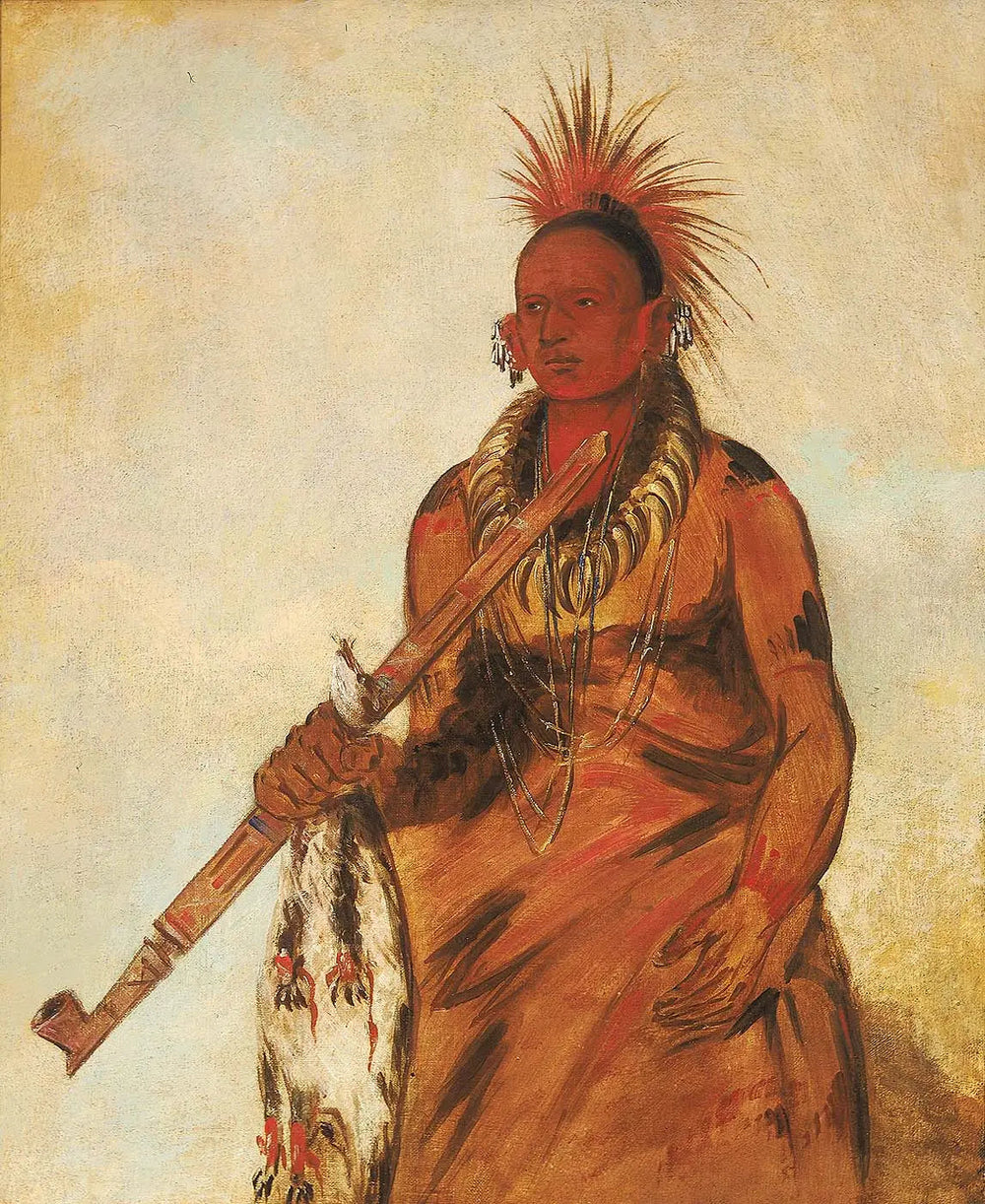 No-o-mún-nee, Marche sous la pluie, un guerrier - George Catlin image 1 reproduction d’œuvre d’art à l’huile