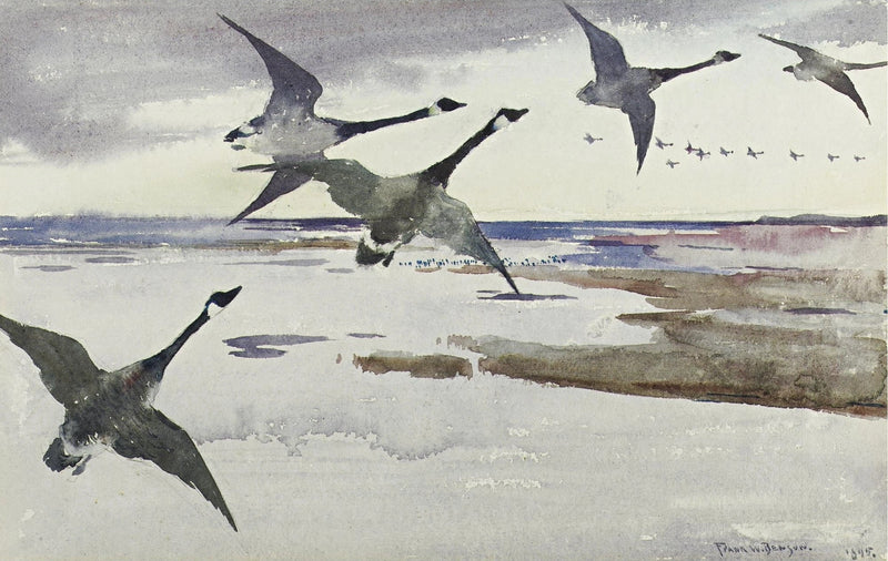 Oies du Canada - Frank Weston Benson