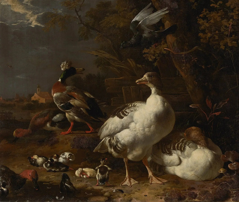Oies et canards - Melchior de Hondecoeter