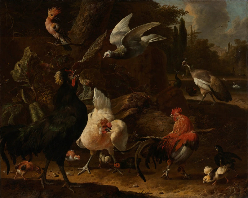 Oiseaux dans un parc - Melchior de Hondecoeter