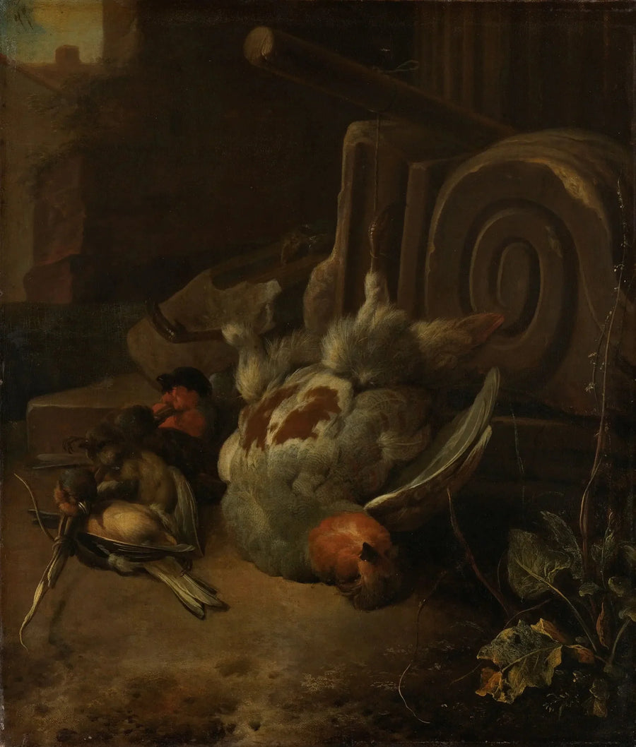 Oiseaux morts - Melchior de Hondecoeter