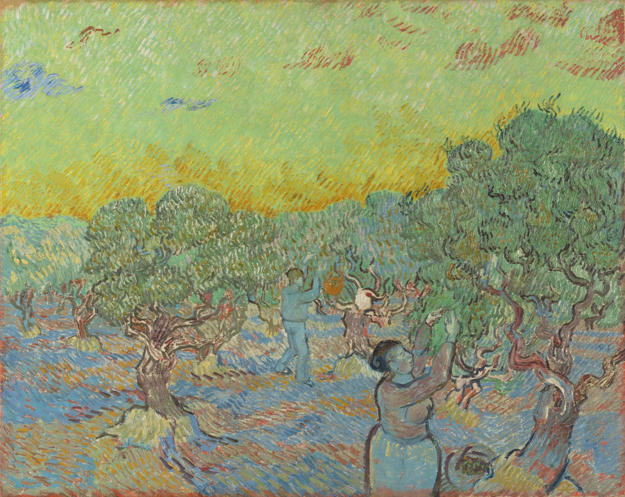 Oliveraie avec deux cueilleurs – Vincent van Gogh