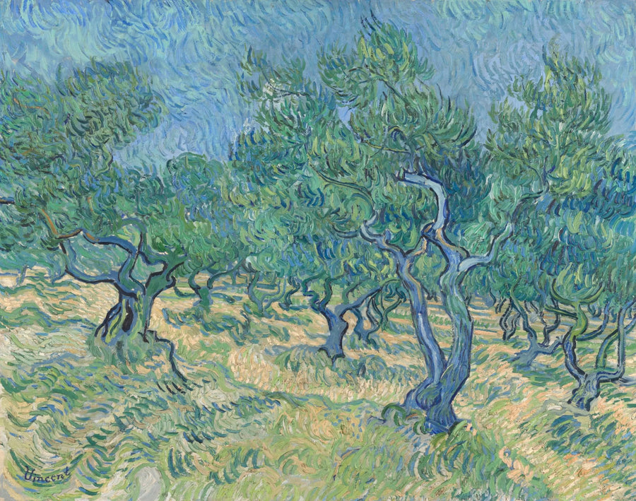 Oliveraie, F585 – Vincent van Gogh