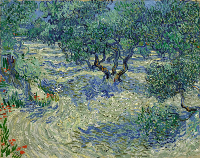 Oliviers, F715 – Vincent van Gogh