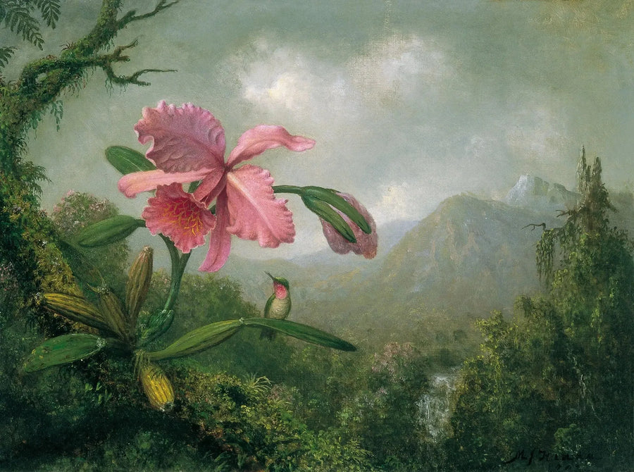 Orchidée et colibri près d'une cascade de montagne - Martin Johnson Heade