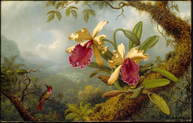 Orchidées et colibri - Martin Johnson Heade