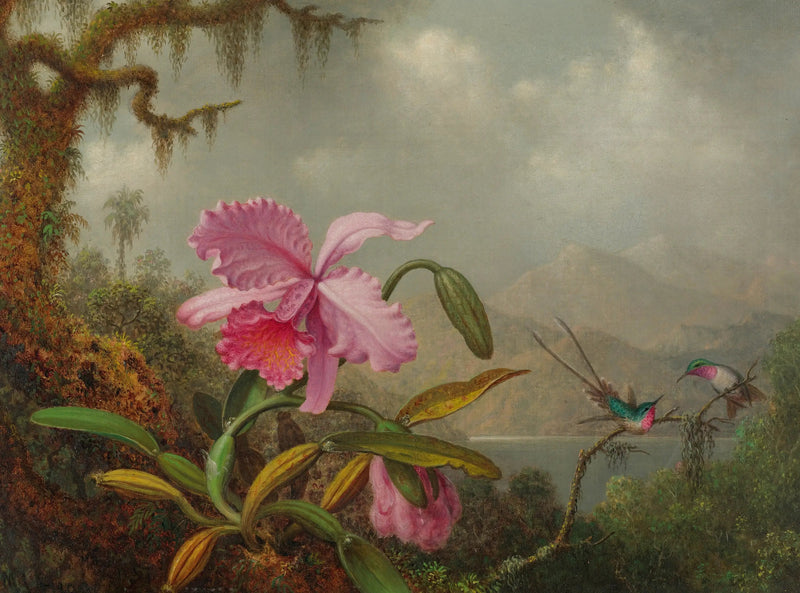 Orchidées et colibris - Martin Johnson Heade