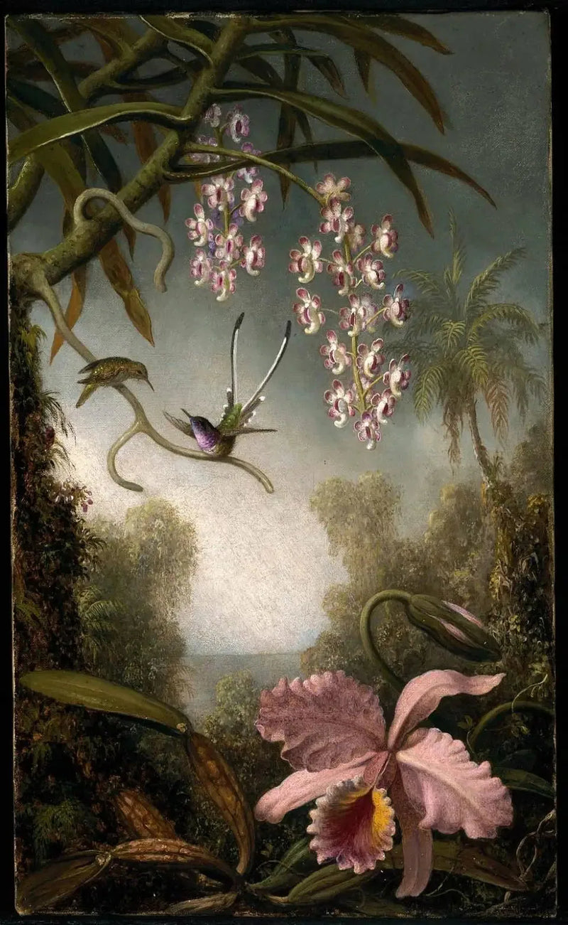 Orchidées et orchidées en spray avec colibri - Martin Johnson Heade