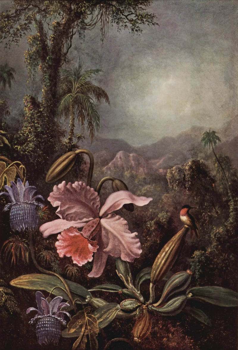 Orchidées, passiflores et colibris - Martin Johnson Heade