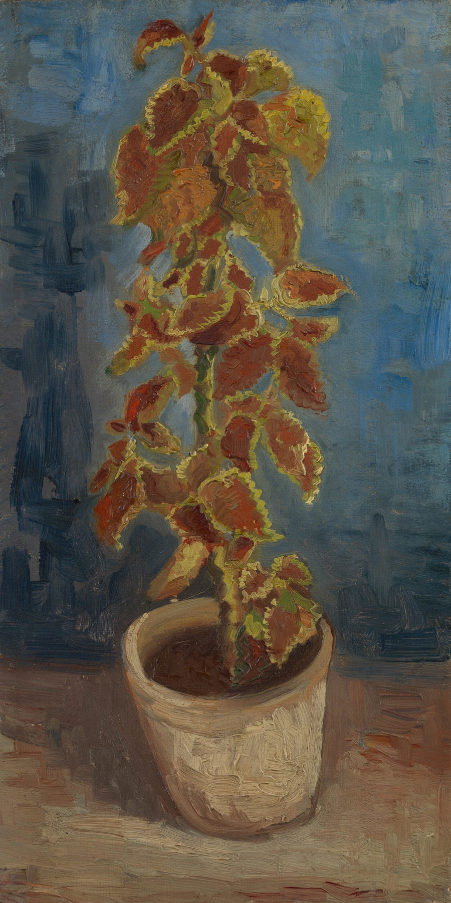 Ortie flamboyante en pot, F281 – Vincent van Gogh