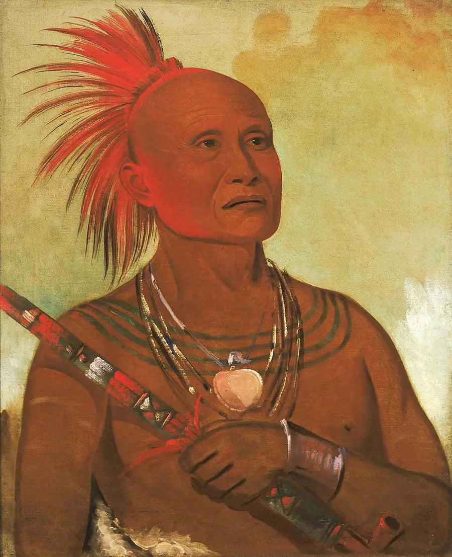 Pam-a-hó, le nageur, l'un des guerriers de Black Hawk - George Catlin