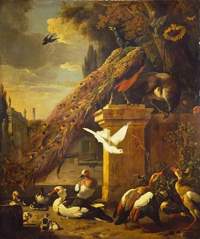 Paons et canards - Melchior de Hondecoeter