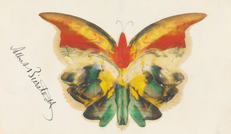 Papillon jaune - Albert Bierstadt