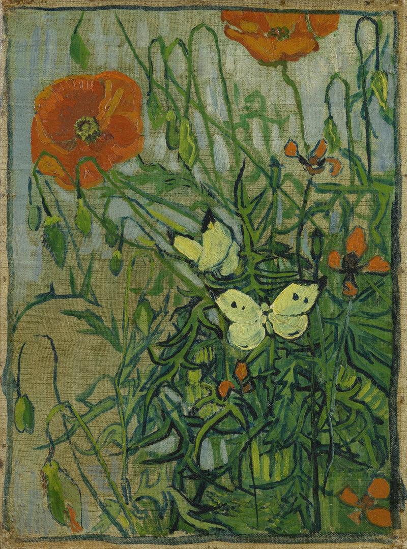 Papillons et coquelicots, F748 – Van Gogh