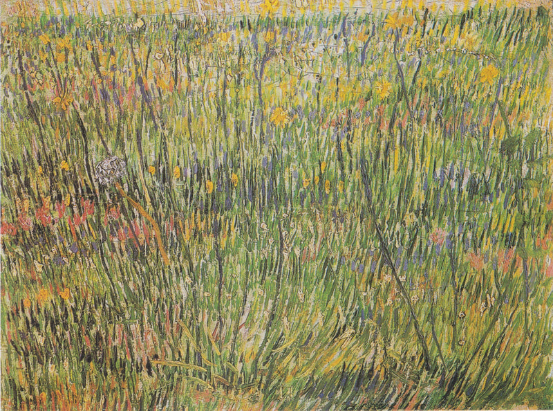 Carré d’herbe, F583 – Van Gogh