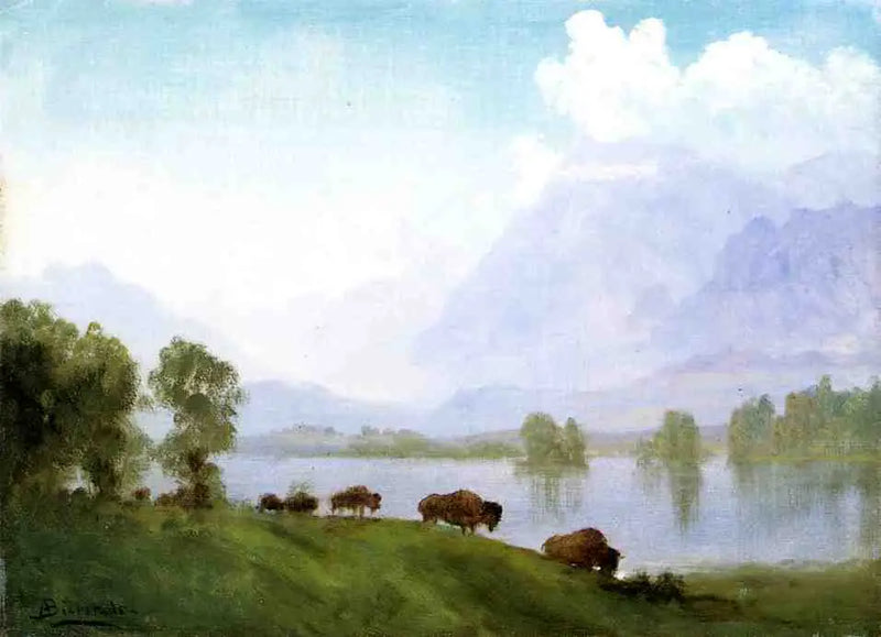 Pays des bisons - Albert Bierstadt
