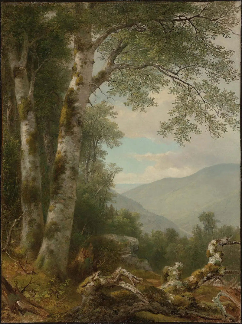 Paysage avec des bouleaux - Asher Brown Durand