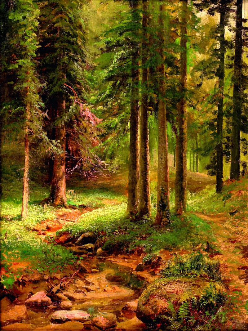Paysage forestier - Ivan Chichkine