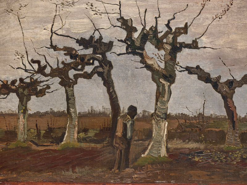 Paysage avec des saules têtards, F31 – Vincent van Gogh