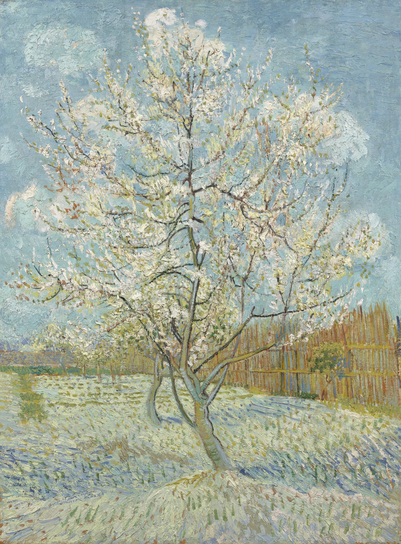 Le Pêcher rose, F404 – Vincent van Gogh