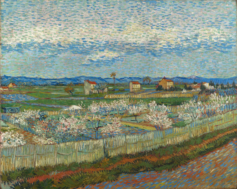 Pêchers en fleurs dans la Crau, F514 – Van Gogh
