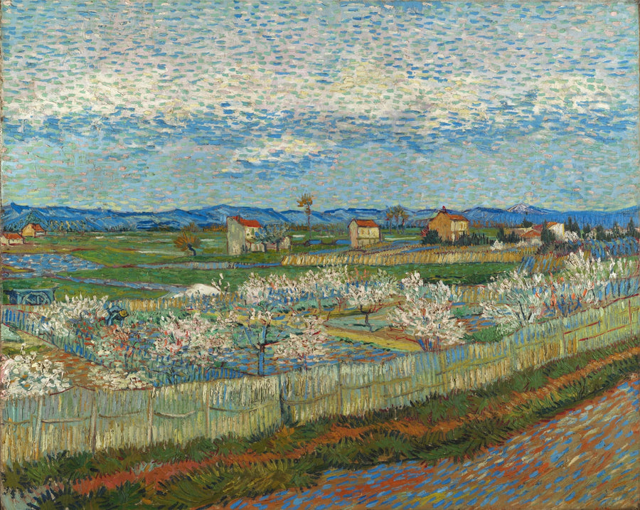 Pêchers en fleurs dans la Crau, F514 – Van Gogh