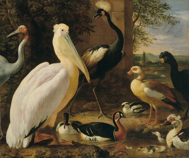 Pélican, grue couronnée, hocco, grue antigone et canards dans un paysage fluvial - Melchior de Hondecoeter