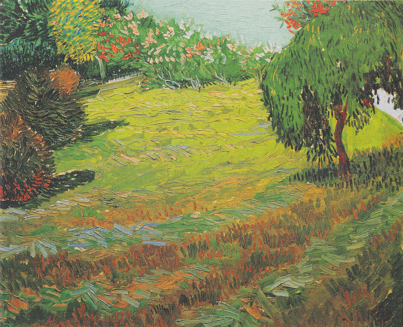 Pelouse ensoleillée dans un parc public, F428 – Van Gogh