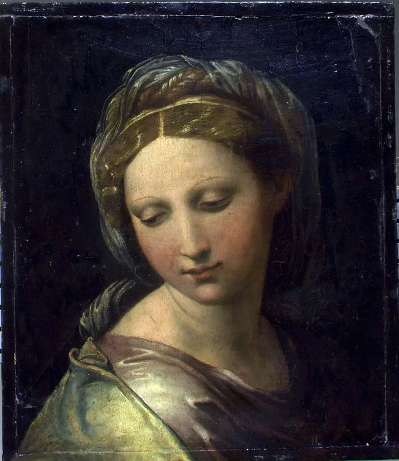 Perle de Modène - Raphaël Sanzio