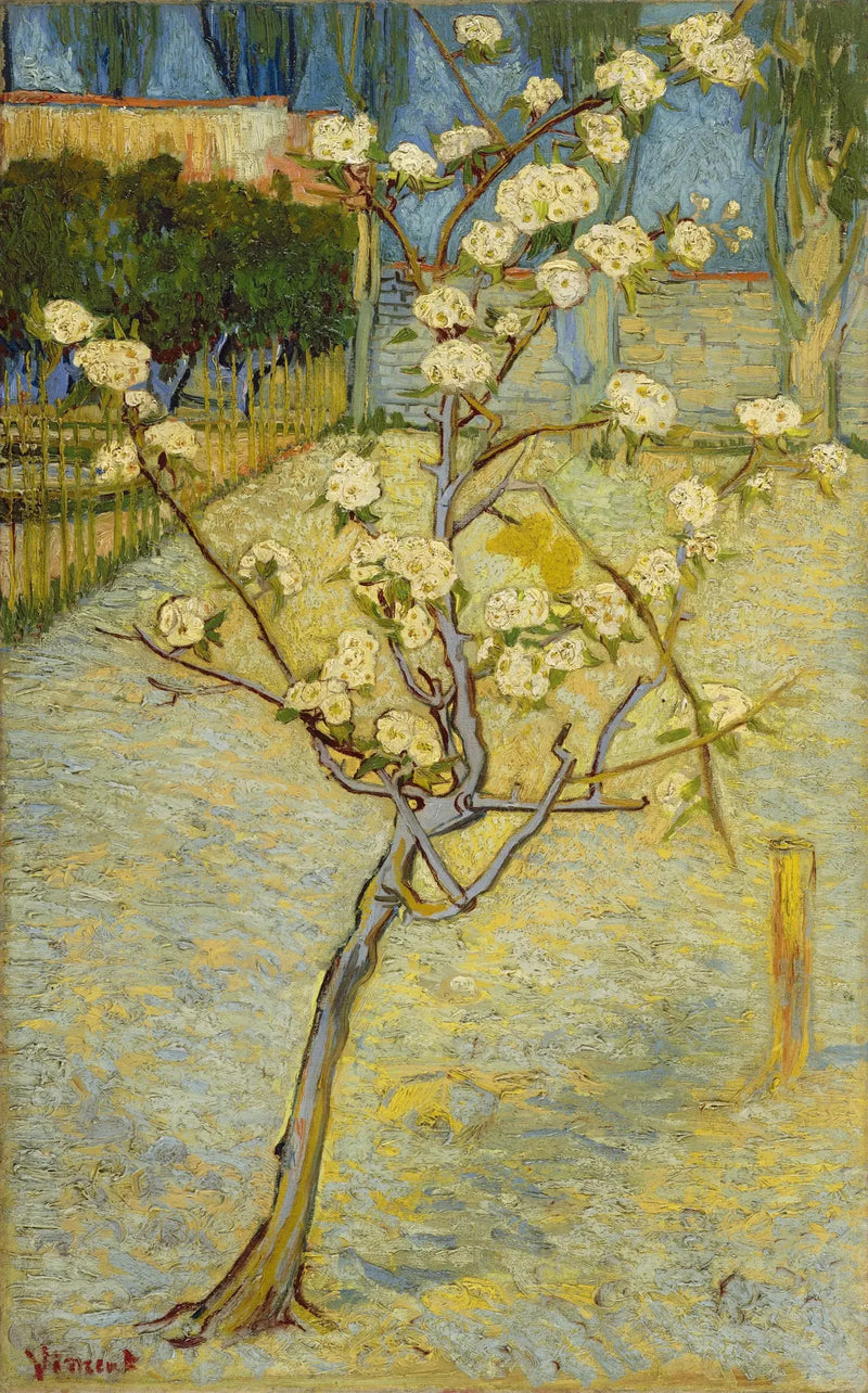 Petit poirier en fleurs - Vincent van Gogh