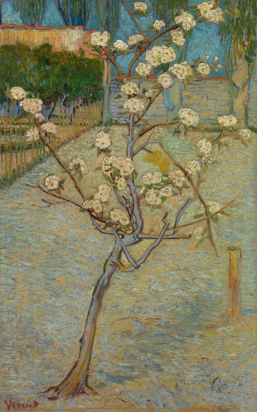 Petit poirier en fleurs, F405 – Vincent van Gogh