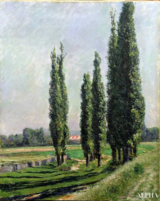 Peupliers au bord de la rivière à Argenteuil - Caillebotte - Reproductions de tableaux et peintures haut de gamme