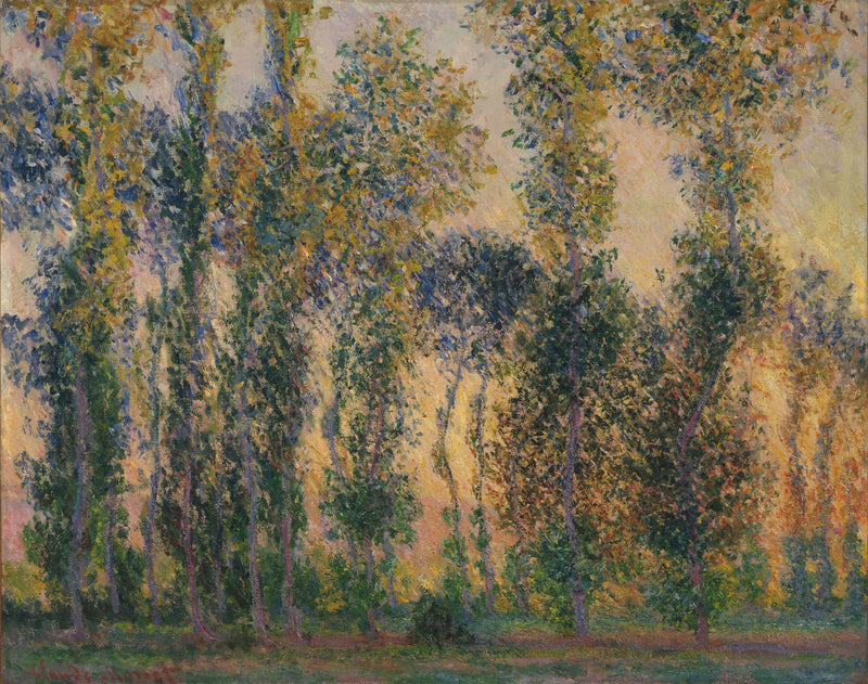 Les Peupliers à Giverny W1156 – Claude Monet