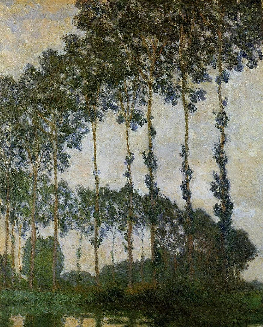 Peupliers près de Giverny, temps couvert W1291 – Claude Monet