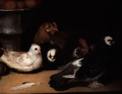 Pigeons et volailles - Francisco de Goya