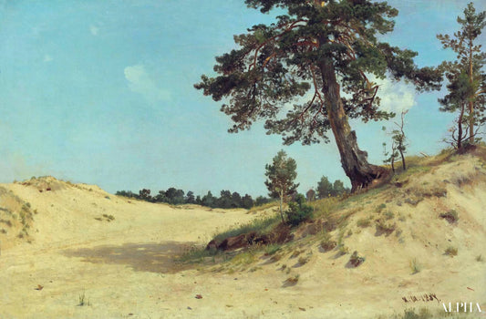 Pin dans le sable  - Ivan Shishkin - Reproductions de tableaux et peintures haut de gamme