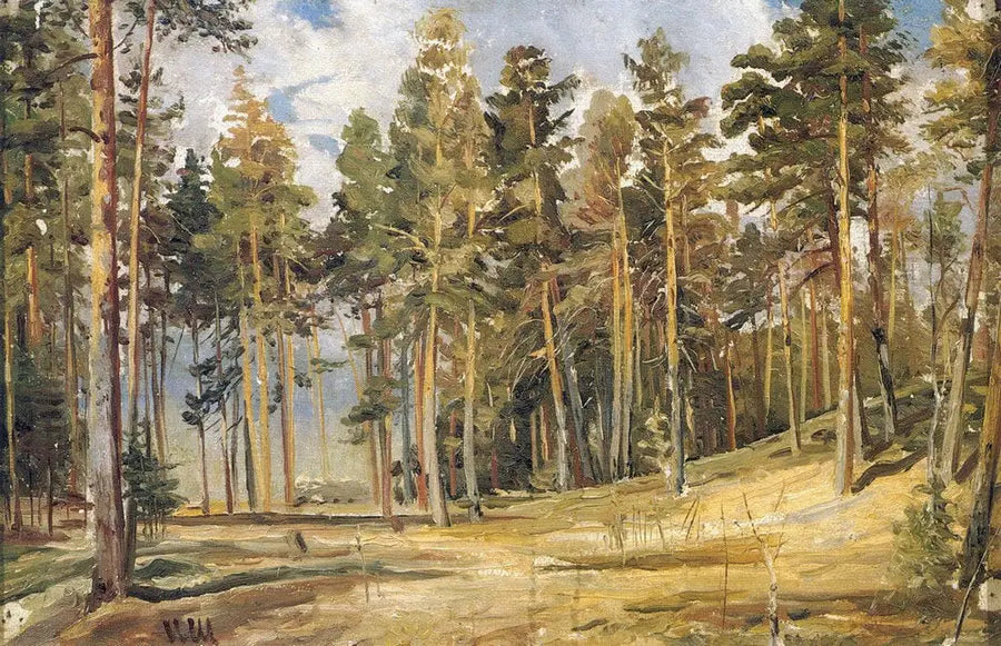 Pins. Journée ensoleillée - Ivan Chichkine