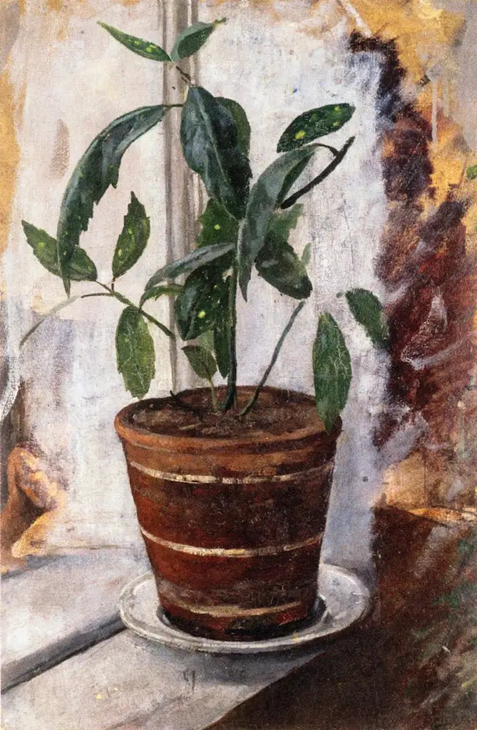Plante en pot sur le rebord de la fenêtre - Edvard Munch