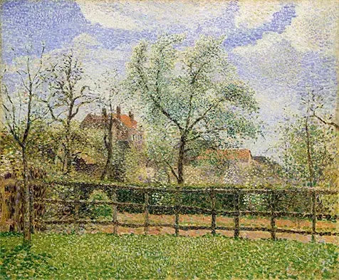 Poiriers en fleurs à Eragny, matin - Camille Pissarro