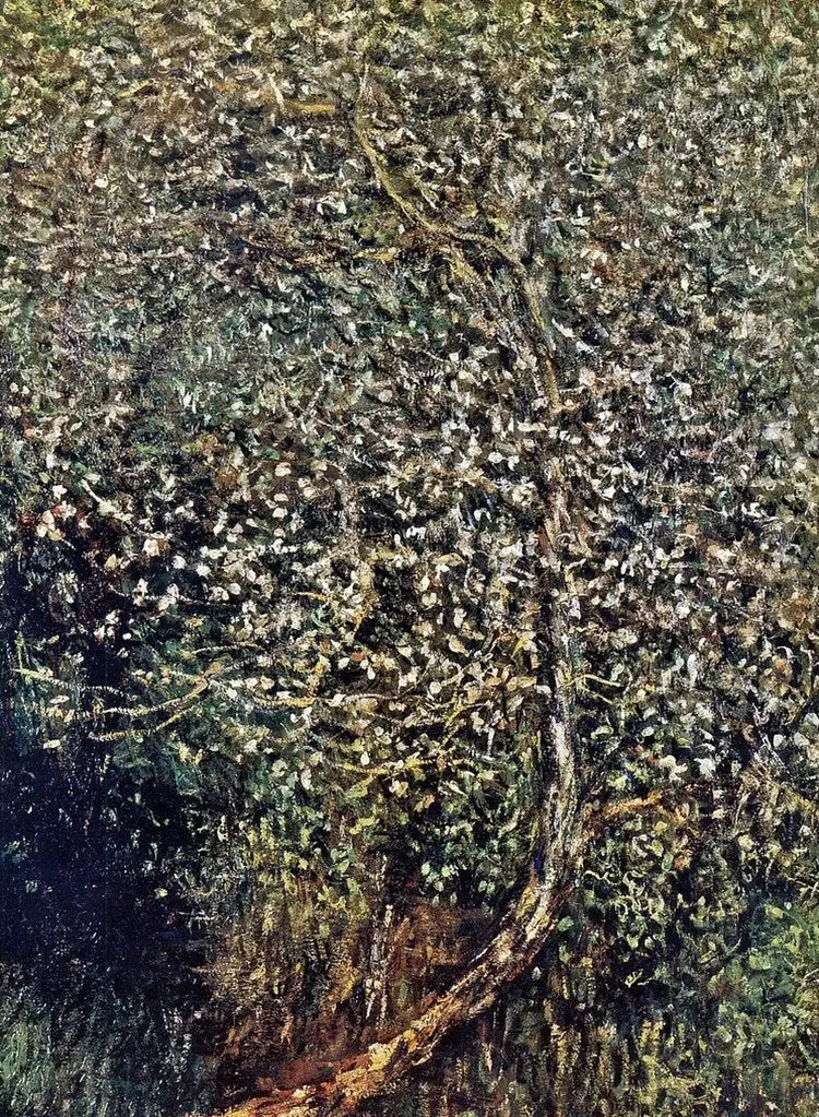 Pommiers en fleurs au bord de l'eau - Claude Monet