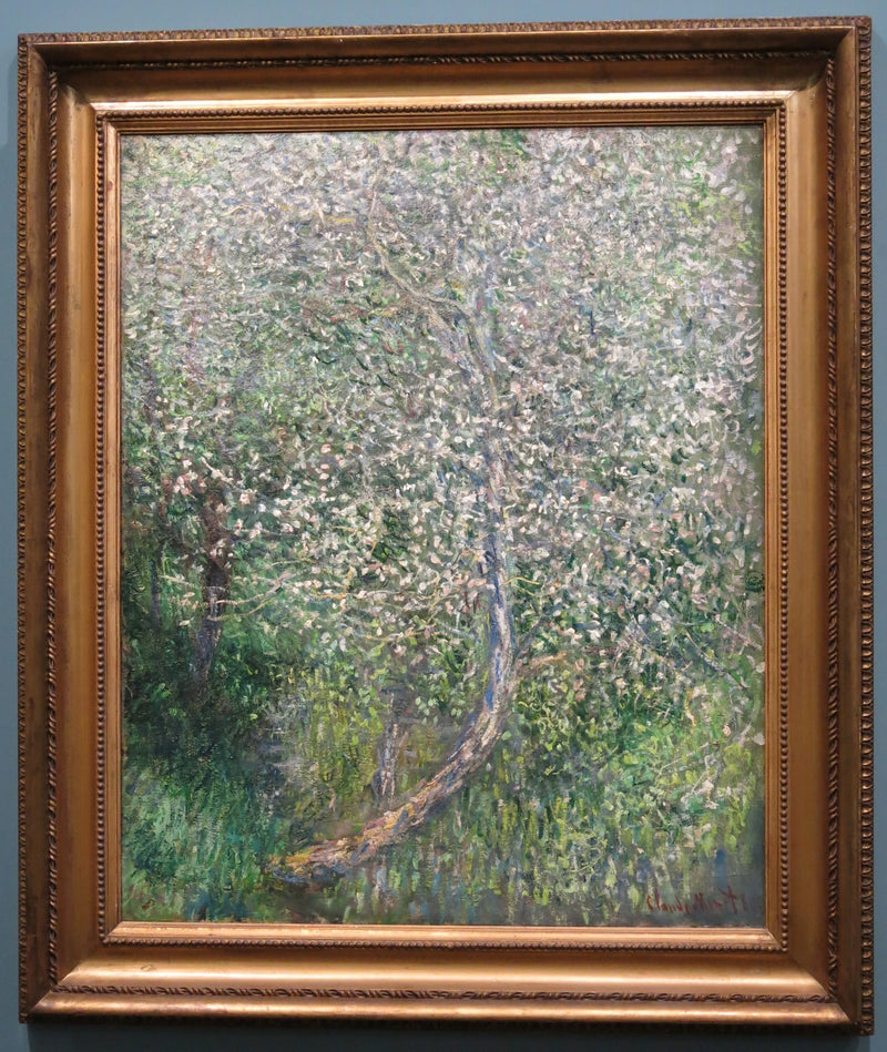 Pommier en fleurs au bord de l’eau W585 – Claude Monet