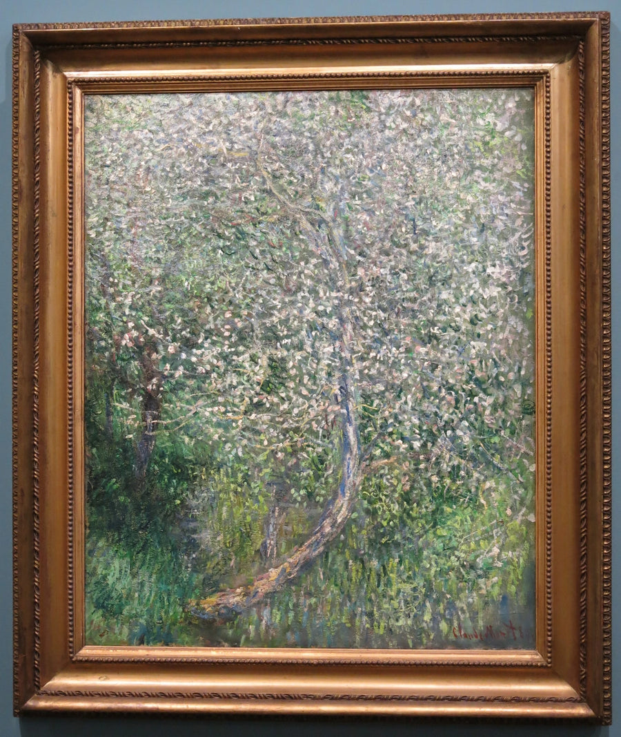 Pommier en fleurs au bord de l’eau W585 – Claude Monet