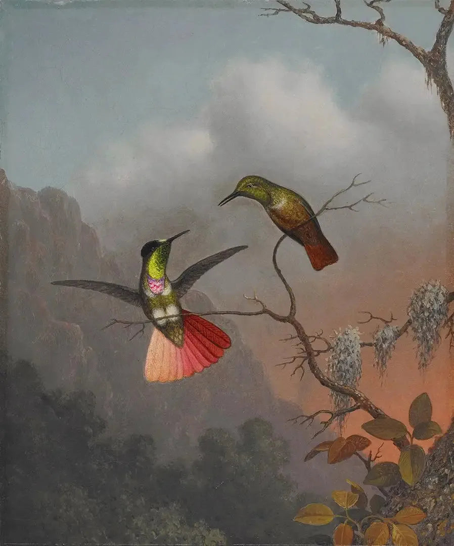 Porteur de visière à capuche - Martin Johnson Heade