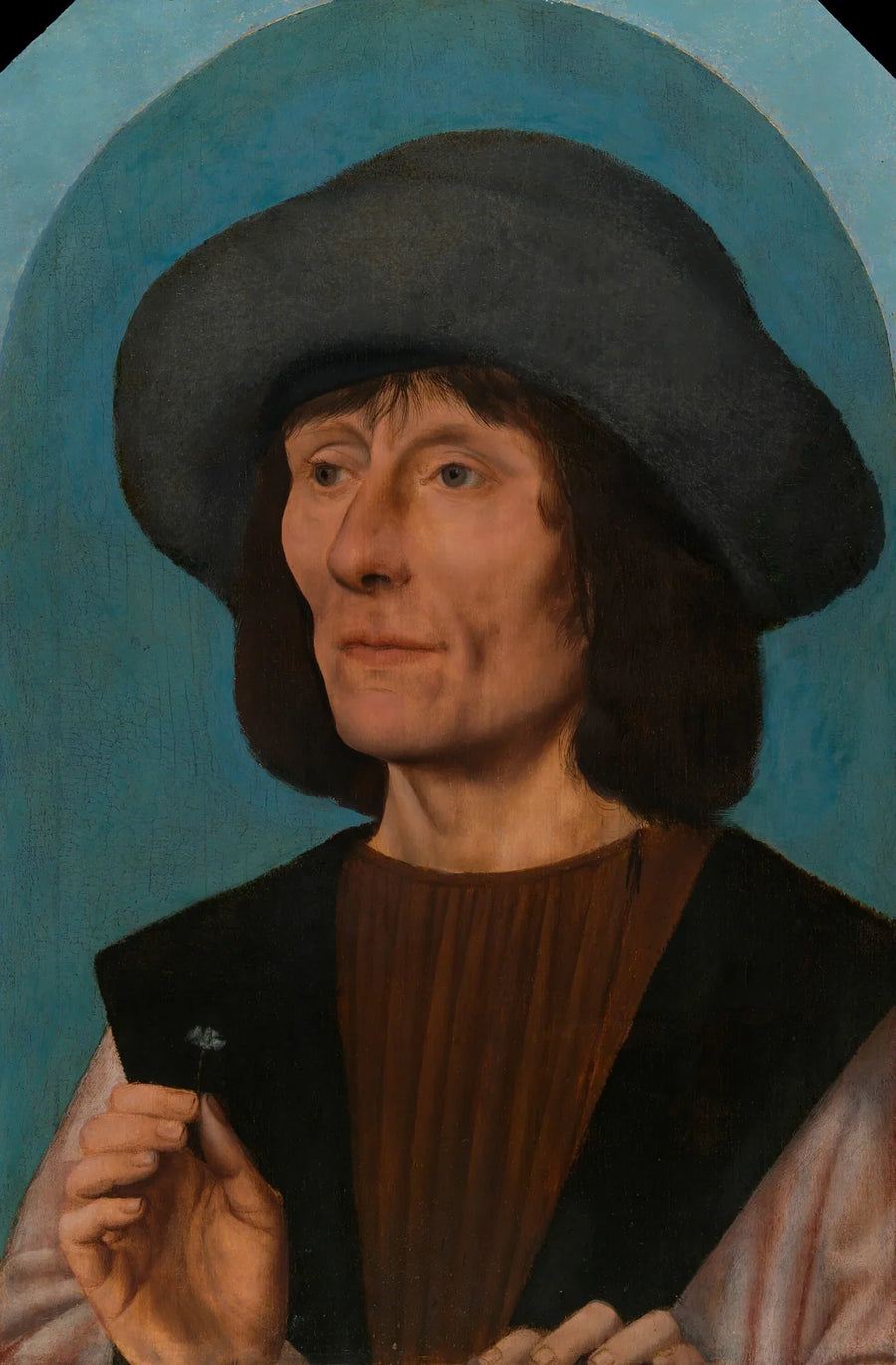 Portrait d'un homme avec un œillet rose - Quentin Metsys