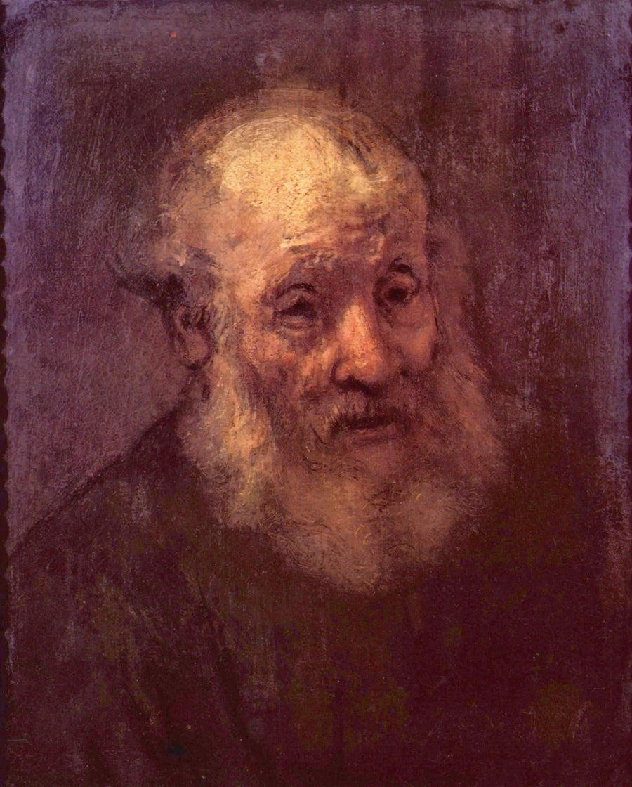 Portrait d'un vieil homme barbu - Rembrandt