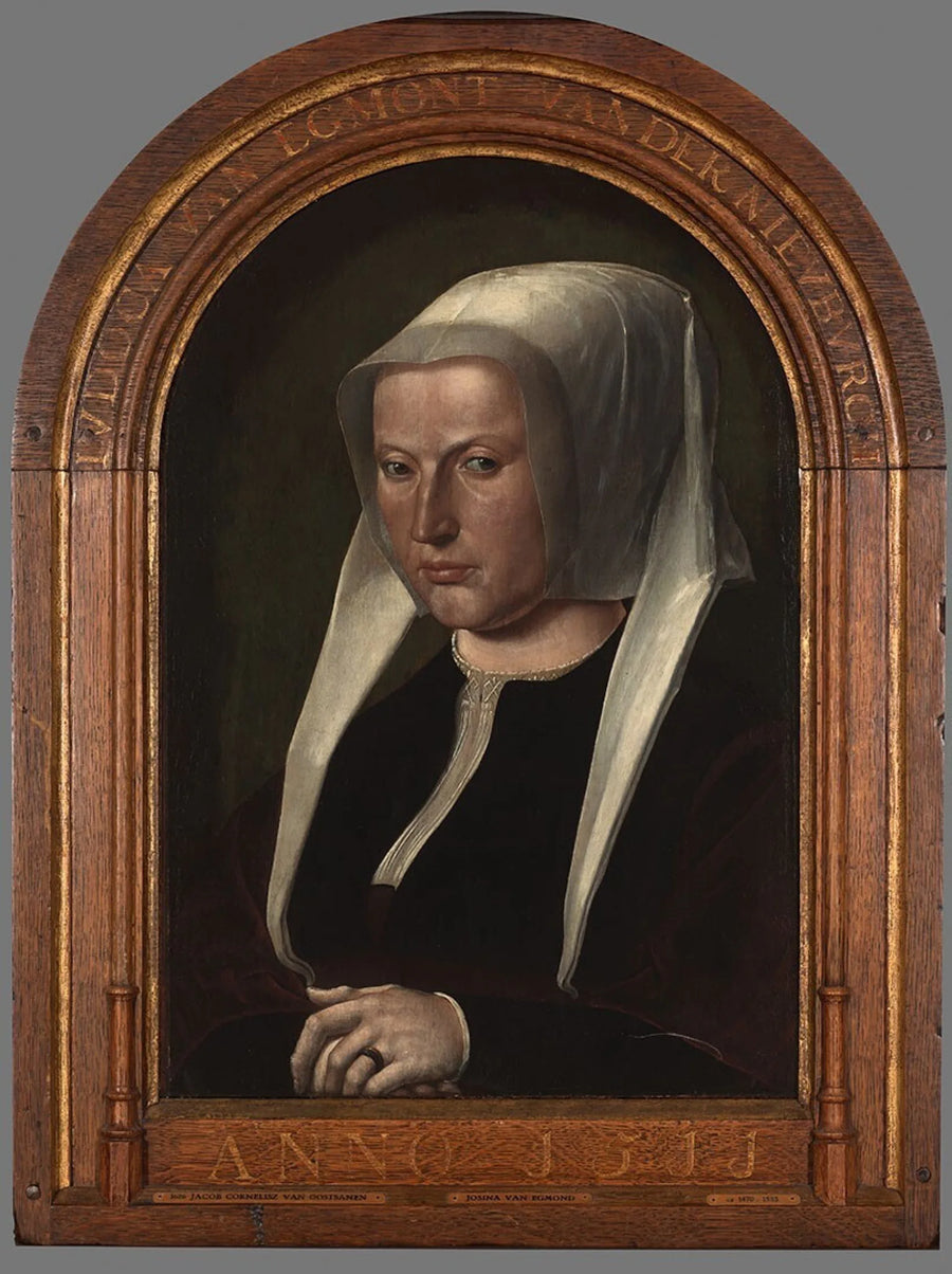Portrait de Judoca van Egmond van der Nieuburgh - Jacob Cornelisz van Oostsanen