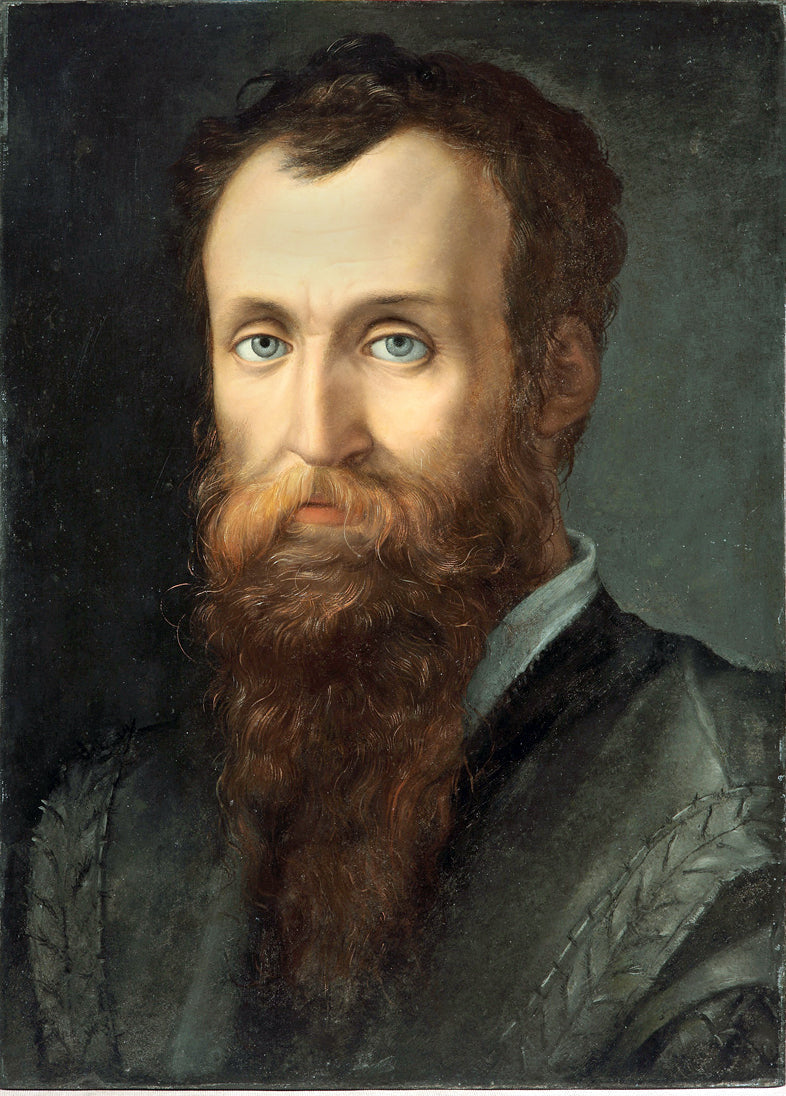 Portrait de Luca Martini - Bronzino