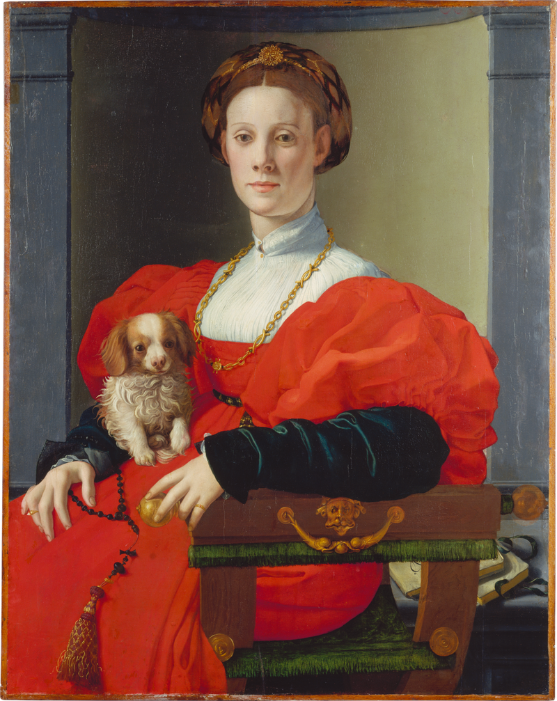 Portrait d'une dame avec un chien de compagnie - Bronzino