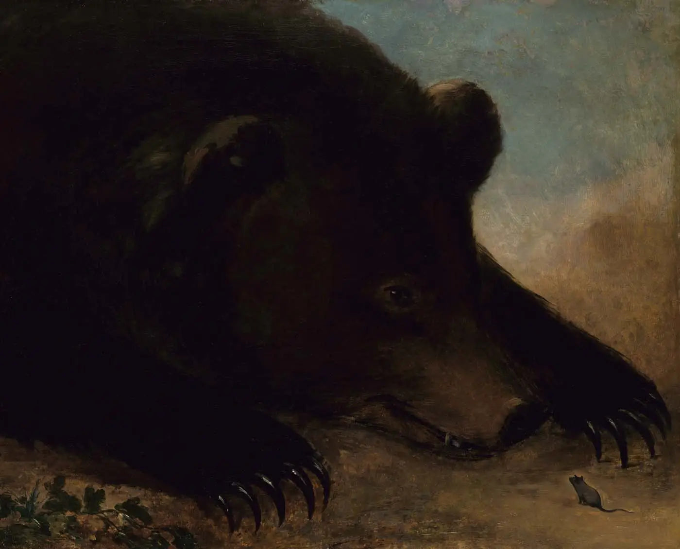 Portraits d’un grizzli et d’une souris grandeur nature - George Catlin - Alpha Reproduction